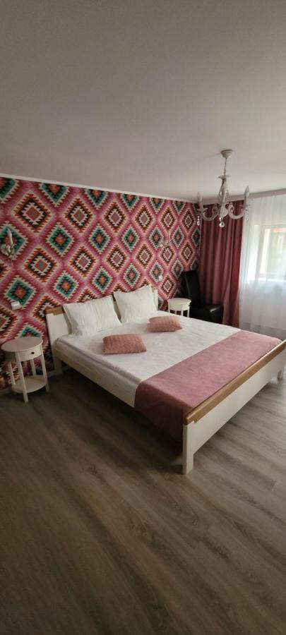 Giurgiu Casa Domneasca酒店 外观 照片