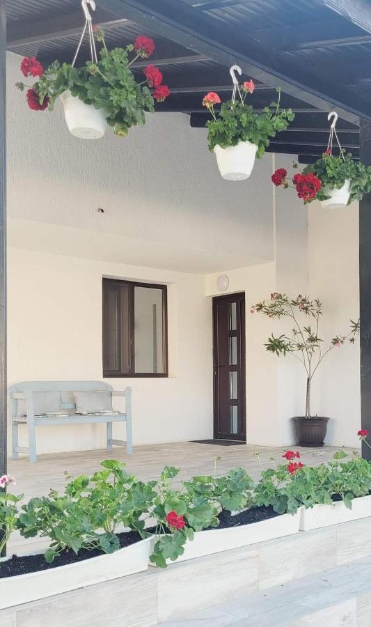 Giurgiu Casa Domneasca酒店 外观 照片